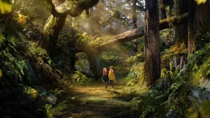 El bosque salvaje: Wildwood
